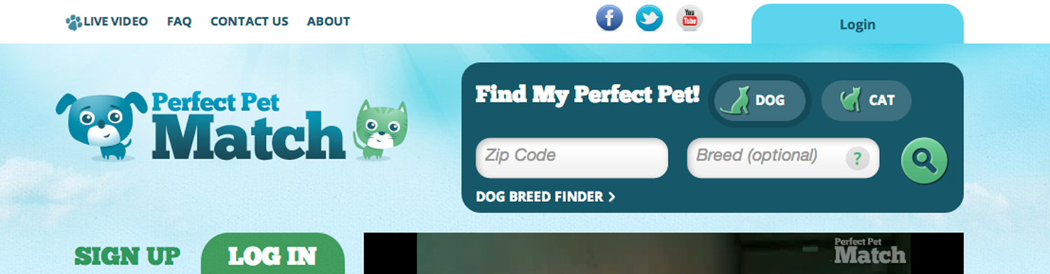 Perfect Pet Match'